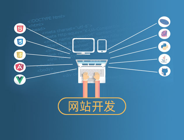 网站开发